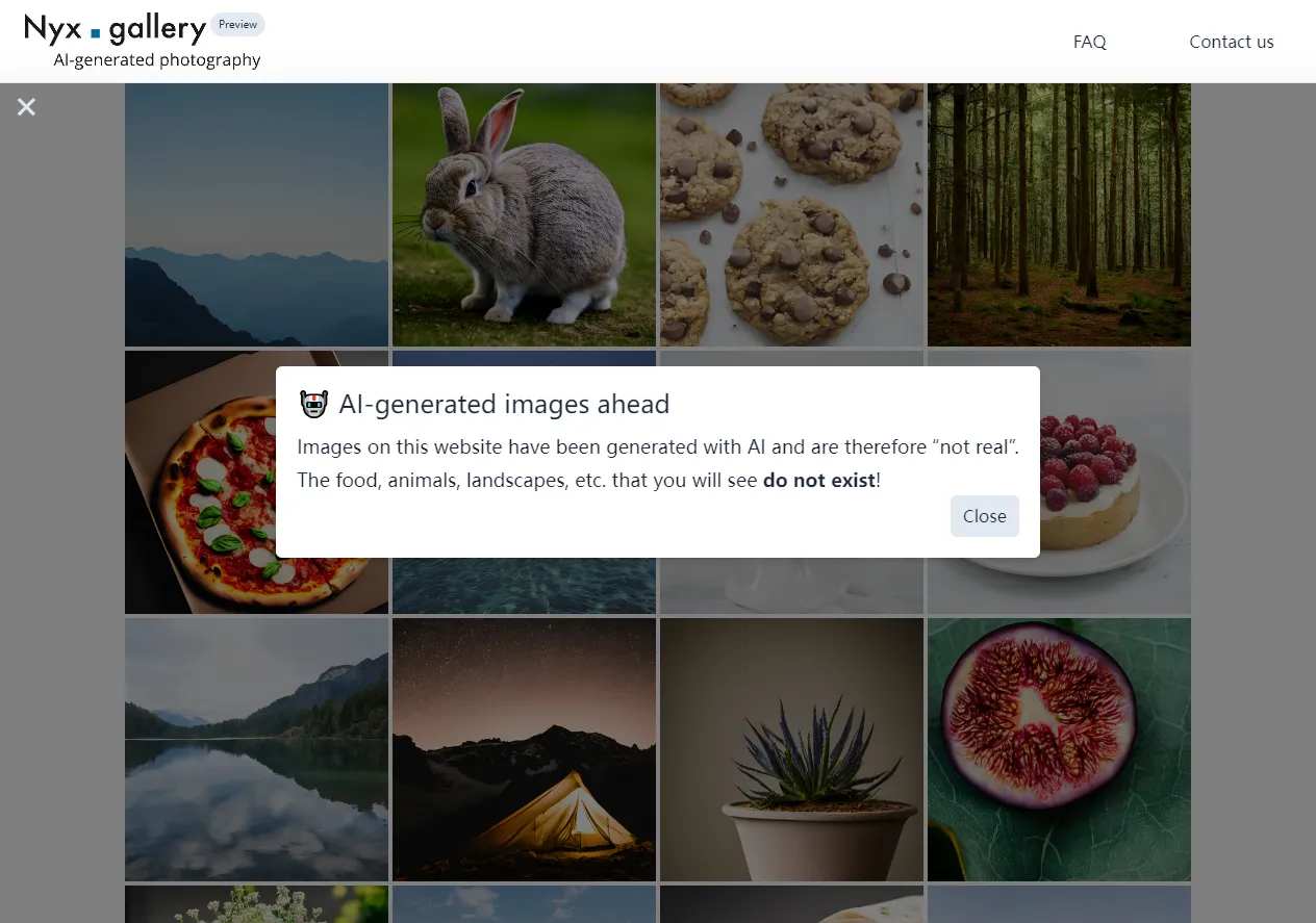 بررسی کامل Nyx Gallery - اسکرین‌شات و تصویر رابط کاربری